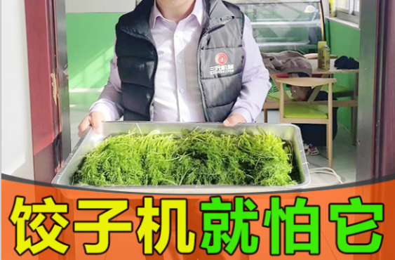 餃子機的缺點是什么