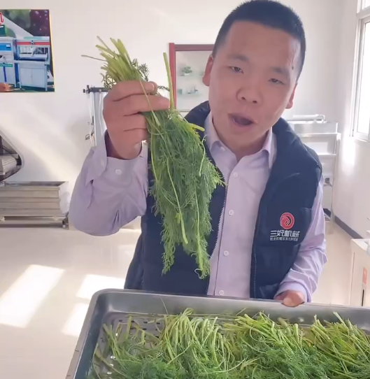 餃子機為什么做不了素餡