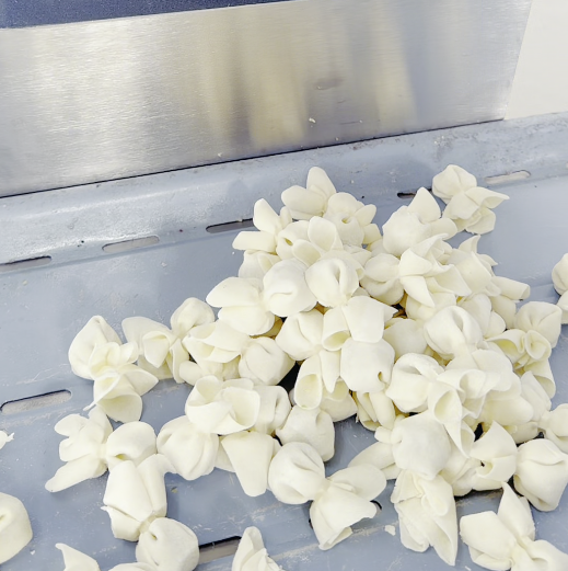 多功能小魚混沌機(jī)